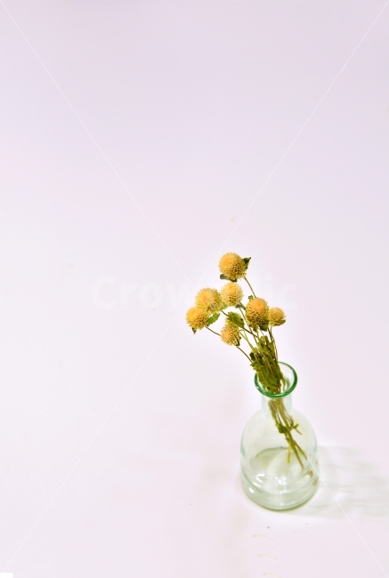 빈티지,화병,유리병,드라이플라워,투명,반사,텅빈,스페이스,프레임,frame,공간,white,화이트,흰색,출판,편집,책자,서적,사보,카다로그,시안,디자인,디자이너,콘텐츠,리플렛,브로셔,컨셉,콘셉,컨셉트,모바일,팝업,전단,광고,sns,ebook,웹,마케팅,마켓팅,건조,마른꽃,꽃,분위기,필,느낌,감성,구성,연출,feeling,emotion,복고풍,레트로,엔틱,Vintage,retro,antique,엔티크,색다른,개성,사물,오브젝트,object,보라색꽃,들꽃,말린꽃,식물,자연,plants,nature,꽃,flower,인테리어,실내디자인,interior design,사물,물건,오브젝트,thing,object,matter,연출,컨셉,콘셉,direction,concept,누끼,remove background