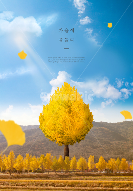 가을,편집,감성,은행나무,하늘,구름,산,가을산,가을단풍,가을하늘,가을편집,가을감성,배경,은행잎,감성편집,가을,계절,fall,autumn,season