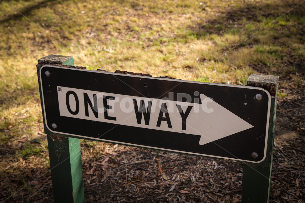 노을,햇살,자연,roadsign,표지판