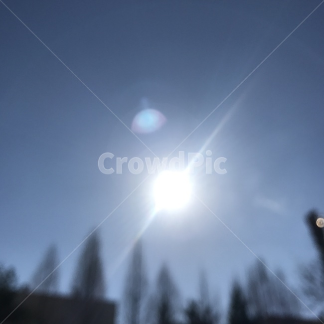 sky,sunny day,sunlight,shadow,focus,Good day