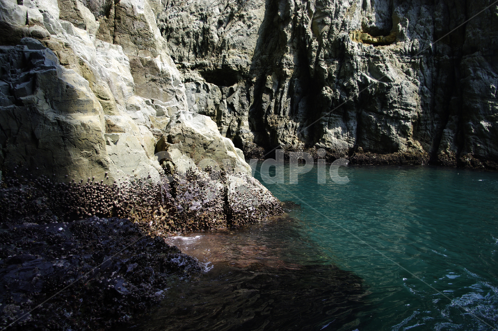 암석,바위,바다,섬,자연,자연,풍경,nature,landscape,outdoors,옥외,cliff,낭떠러지