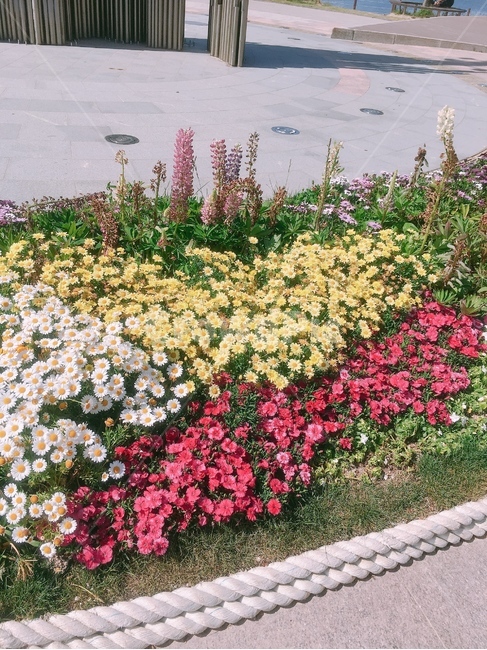 공원,꽃,꽃밭,산책,소풍,잔디,잔디밭