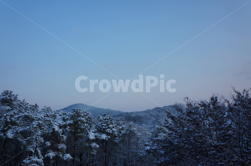 눈,설산,snow,snowmountain,겨울,눈꽃,눈산,나무,겨울나무,겨울산,겨울,계절,winter,season,자연,풍경,nature,landscape,tree,plant,식물,fir,전나무