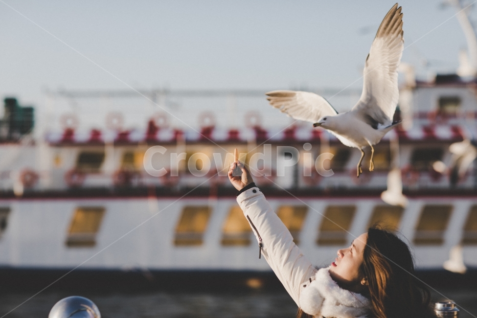 갈매기,새,바다,사람,인물,여자,배,bird,sea,human,portrait,girl,ship,겨울,계절,winter,season,동물,animal,조류,새,birds,사람,인물,인간,human,person,여성,여자,woman,female,lady,감성,sensible,feeling