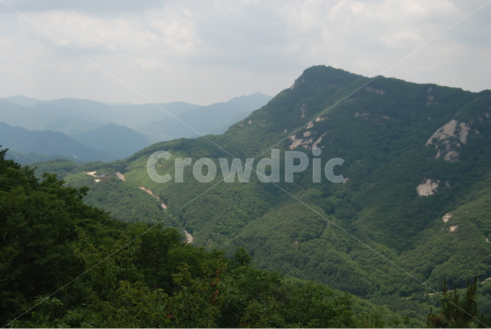 황정산,단양,휴양림,공원,봄,자연,풍경,nature,landscape,한국자연풍경,한국자연경관,korea nature landscape,outdoors,옥외,slope,경사,hill,언덕
