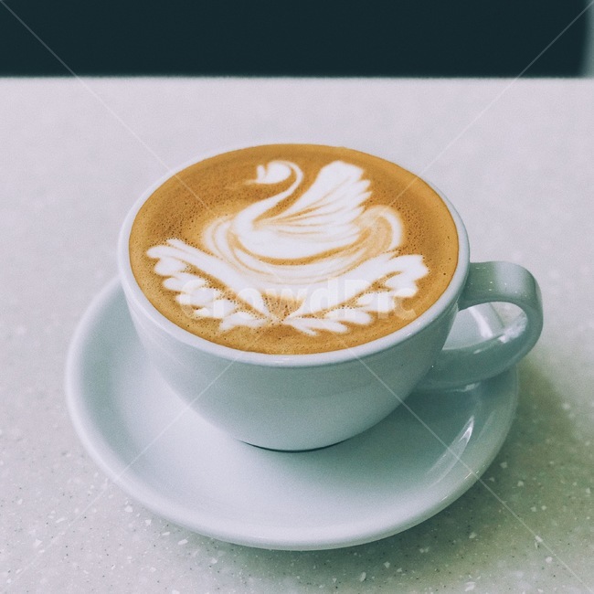 커피,카페라떼,라떼아트,coffee,latteart