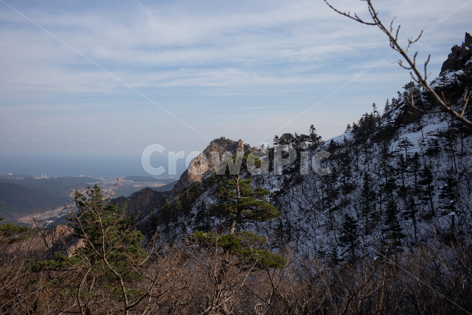 nature,자연,나무,가을,설악,풍경,겨울,계절,winter,season