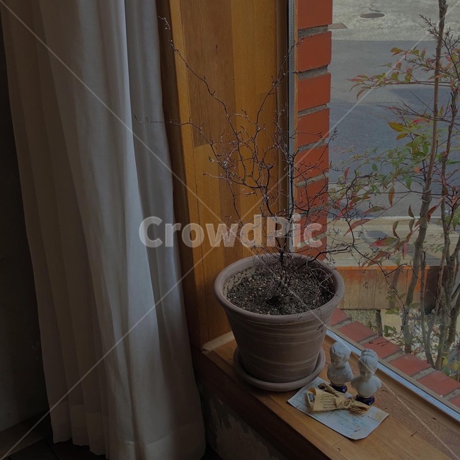 homedecor,가정장식,화분,인테리어,소품,나무,목조,카페,cafe,interior,wood,flower,어두움,dark