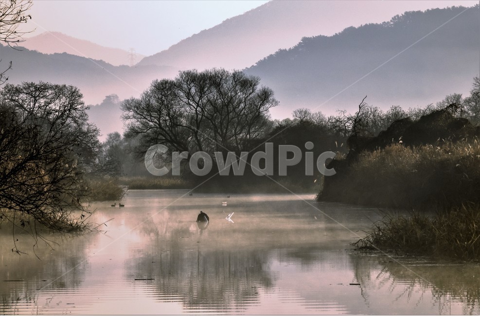 화포천,생태습지,습지,아침,자연,한국자연풍경,한국자연경관,landscape,nature,자연,풍경,nature,landscape,한국자연풍경,한국자연경관,korea nature landscape,weather,날씨,outdoors,옥외