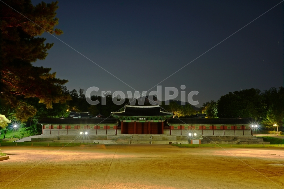 한국,서울,경희궁,경덕궁,궁궐,궁전,조선,조선시대,조선왕조,왕국,야경,한옥,palace,korea,seoul,문화재,역사,전통,문화,전통문화,한국적인,풍경,landscape,nightview,nightscene,nightscape,나무,tree,밤하늘,야경,밤,풍경,nightscape,night,landscape,랜드마크,landmark,tourist attraction,한국랜드마크,한국관광지,한국명소,korea landmark,korea tourist attraction,architecture,건축물,building,건물,worship,예배,shrine,신사,pagoda,탑