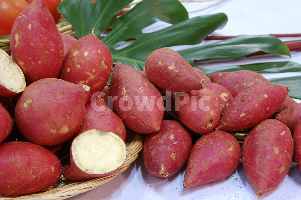 고구마,농산물,농작물,식재료,싱싱한,신선한,다이어트,야채,오브젝트,음식재료,요리재료,음식,재료,유기농,음식,식재료,요리,food,cook,meal,dishes,food reserves,채소,야채,vegetables