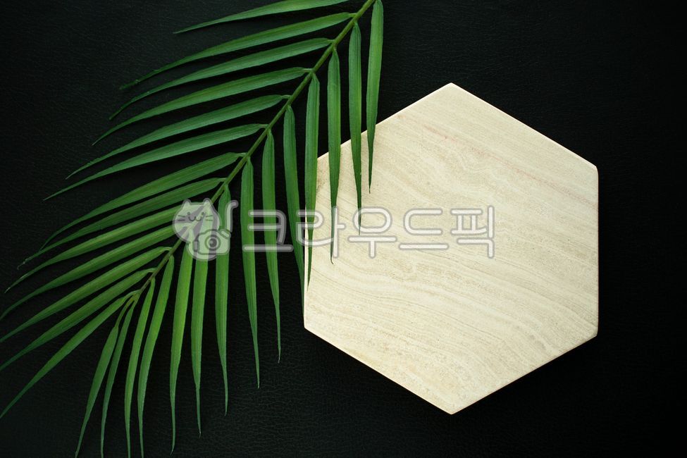 template,studio,pedestal,beauty,concept,objects,hexagon,space,sales,cosmetics,empty,presentation,palm tree,interior decoration,award,leaves,plants,copy space,advertisement,beauty advertisement,stand,exhibition,product,black background,natural,business,nat