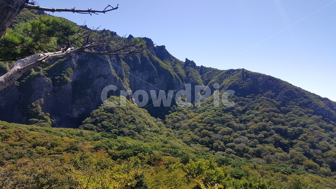 한라산,산,자연풍경,우리나라산,나무,자연,맑은하늘,힐링,햇살