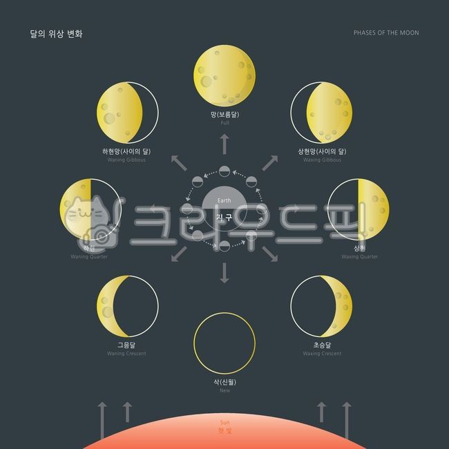 달,위상,변화,모양,보름달,상현망,하현망,상현,하현,초승달,그믐달,삭,천문학,과학,상징,행성,자연,일식,우주,전체,코스모스,주기,표면,점성술,분기,하늘,구면,동그라미,둥근,아이콘,일러스트레이션,디자인,벡터,해,지구,화살표,방향,달이름,한글,영문,그래픽,일러스트레이션,graphic,illustration