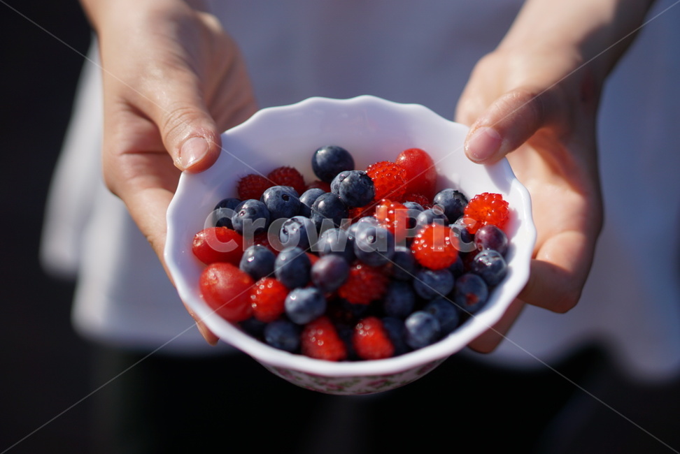 블루베리,산딸기,베리,blueberry,과일,손,여름과일,human,person,food,fruit,사람,사람손,신체일부,몸,body,과일,열매,fruit