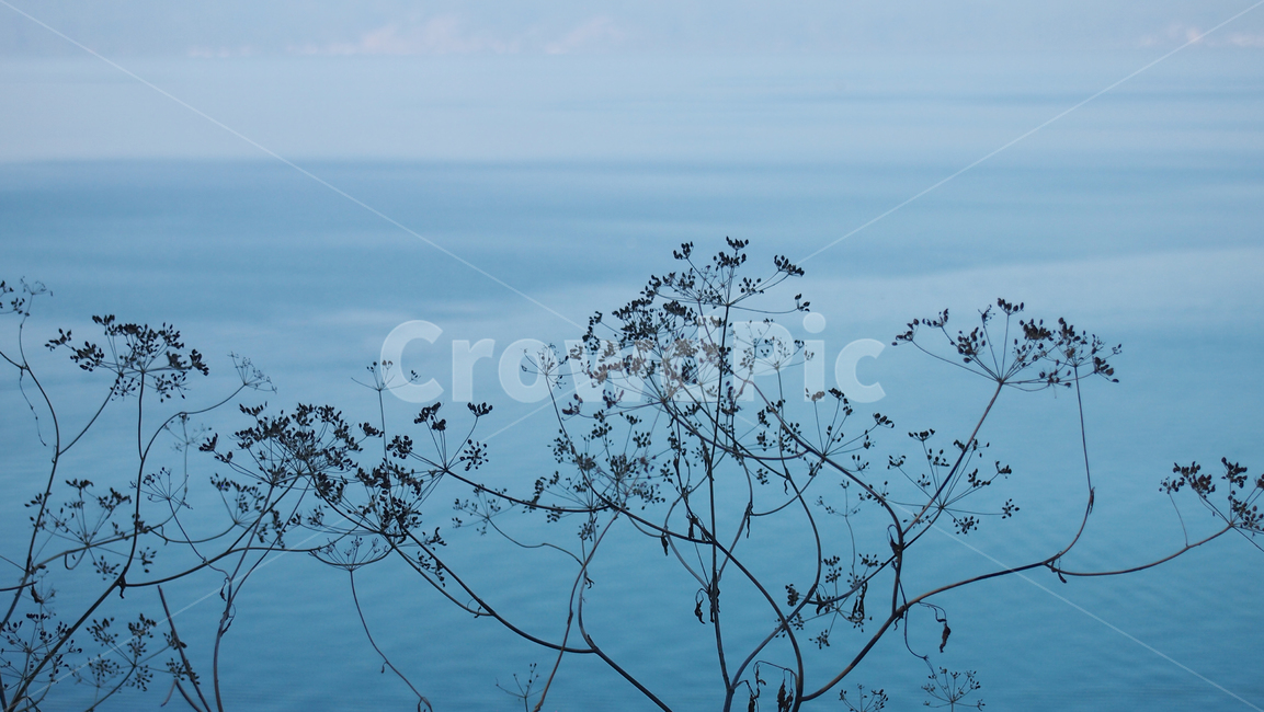하늘,나무,실루엣,배경,그림자,자연,background,scenery,겨울,풍경,landscape,경치,branch,나뭇가지,blue,beautiful,winter,tree,sky,silhouette,outdoors,refreshing,object,green,mysterious,nature,cool,dreamlike,forest,crystal,cold,frost,자연,풍경,nature,landscape