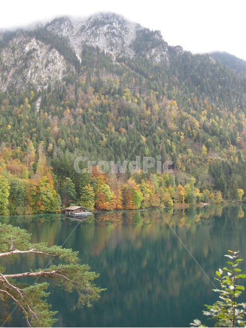 plant,식물,tree,나무,nature,자연,water,물,outdoors,옥외,전나무,호수,낙엽,단풍,에메랄드그린,lake