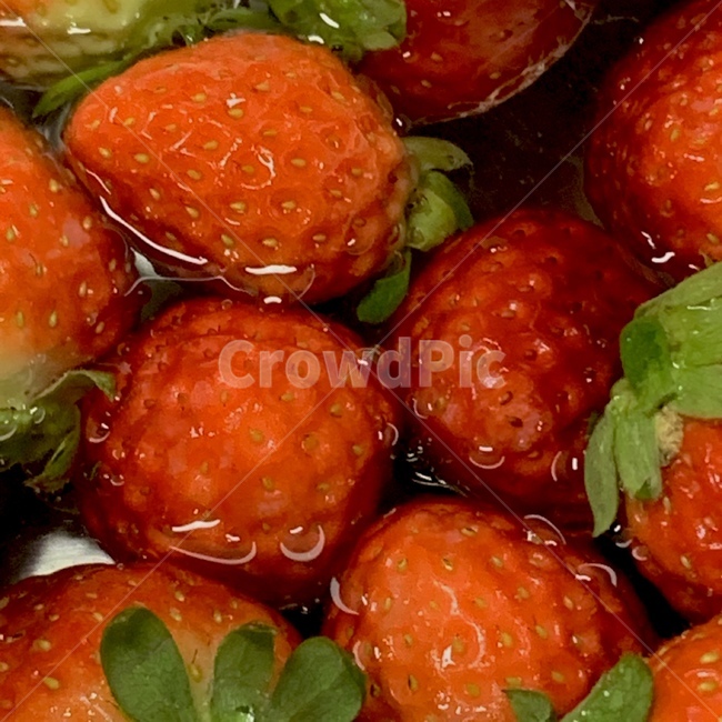 딸기,strawberry,과일,fruit,식물,plant,음식,food,봄,제철과일