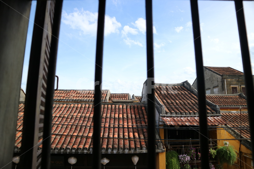 roof,지붕,sky,하늘,창살,창밖,prison,wood,건축,건축물,architecture