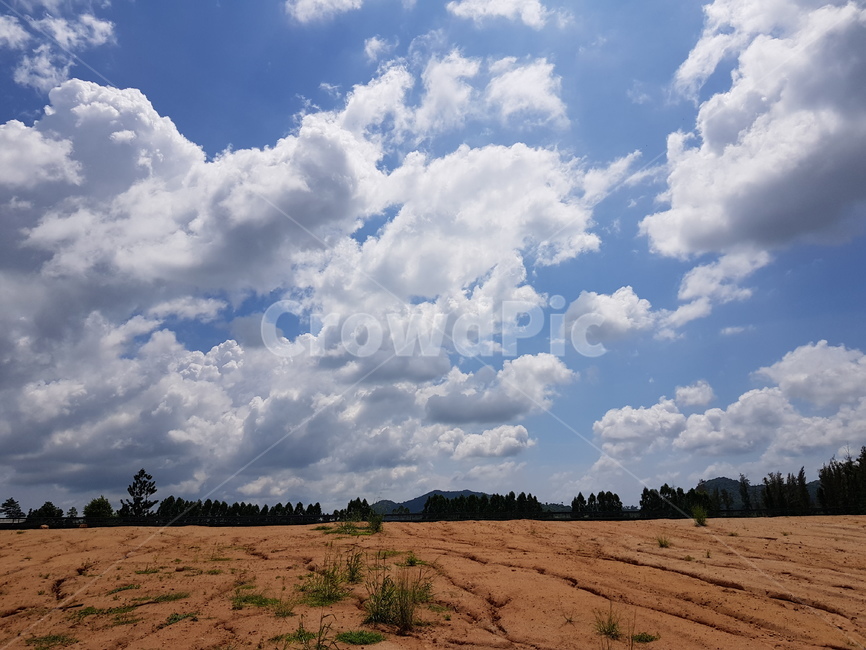 자연,하늘,구름,흙,나무,nature,outdoors,weather,날씨,cloud,cumulus,적운,sky,자연,풍경,nature,landscape,옥외