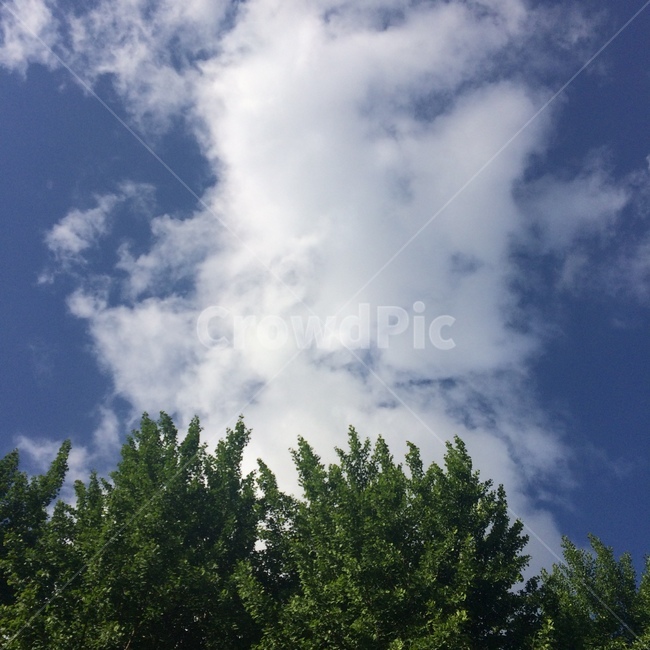 nature,자연,sky,하늘,구름,cloud,outdoors,옥외,tree,나무,자연,풍경,nature,landscape,weather,날씨