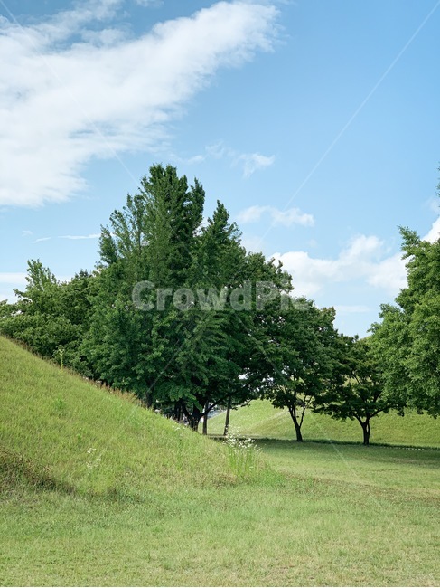 경주,대릉원,파란하늘,잔디,나무,유적지,초록,세계문화유산,자연,풍경,nature,landscape,outdoors,옥외,grassland,목초지,field,들,grass,plant,식물