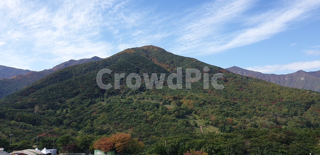 공원,하늘,나무,맑은하늘,구름