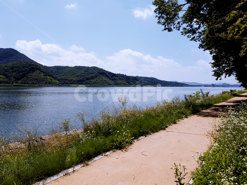 강,식물,자연,하늘,산,맑음,nature,landscape,scenery,scene,view,힐링,healing,river,green,나무,tree,plant,mountain,blue,감성,sensibility,자연,풍경,nature,landscape
