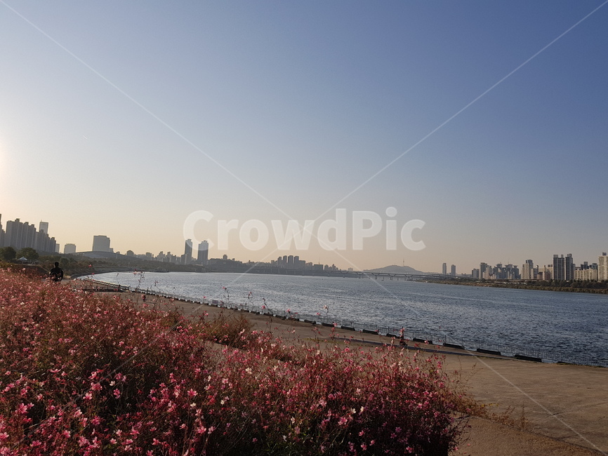 한강,가을,강,도시,서울,오후,자연,풍경,nature,landscape