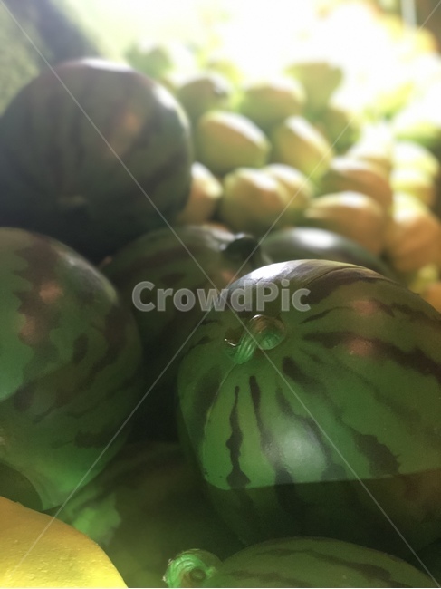 과일,모형,가짜,모형과일,장식품,수박,과일,열매,fruit