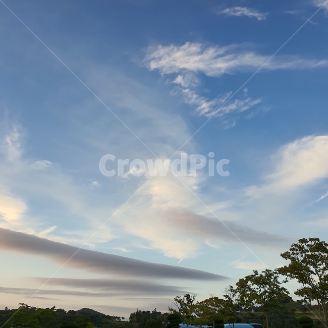하늘,자연,구름,나무,sky,nature,cloud,tree,날씨,자연,풍경,nature,landscape,outdoors,옥외
