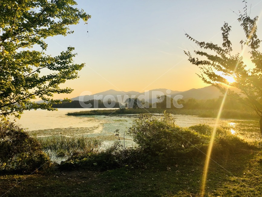 light,빛,flare,플레어,자연,하늘,물,풍경,실외