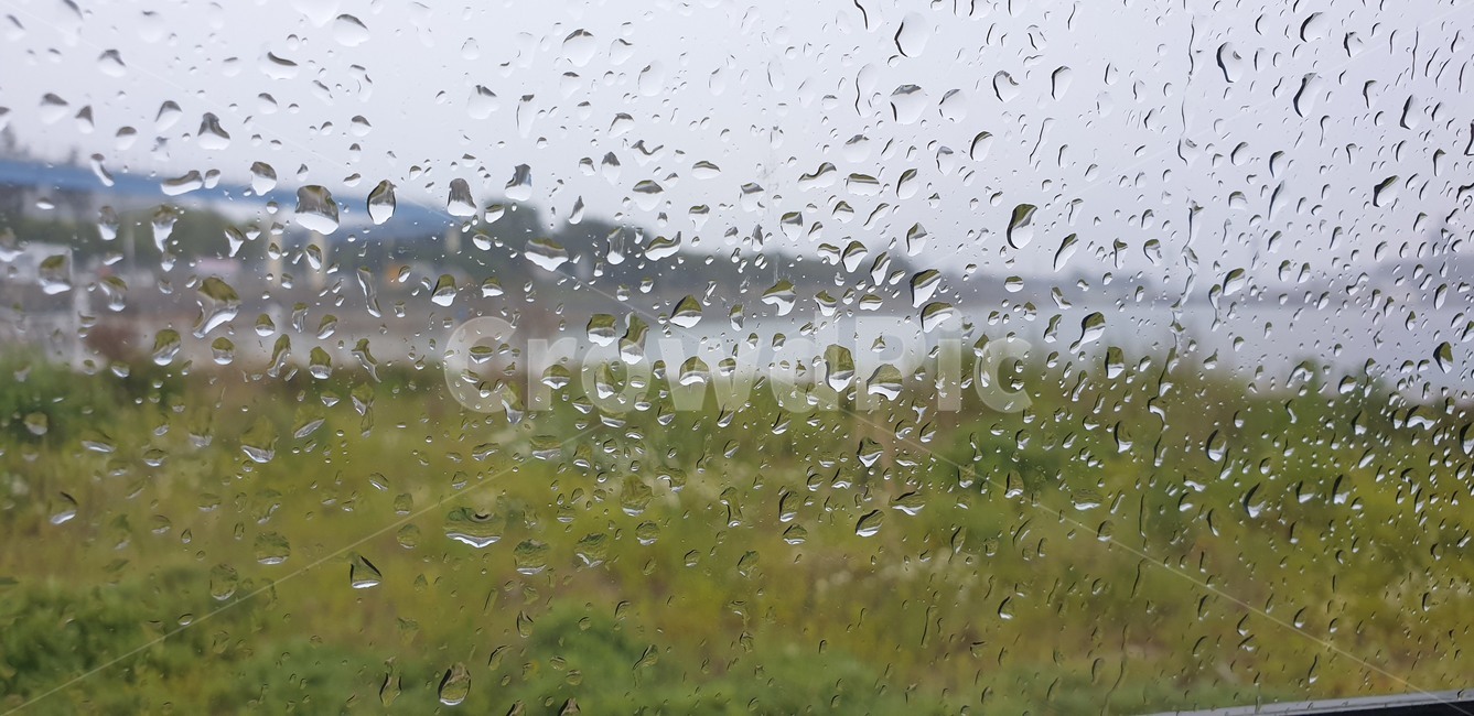 비,창문,창,물방울,시원함,비,비오는날,rain,rainy