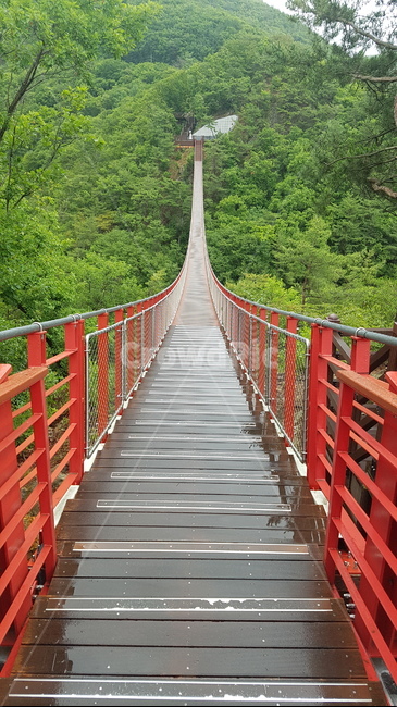 출렁다리,감악산,다리,비오는날다리,감악산출렁다리