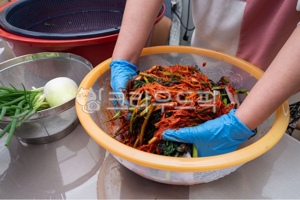 seasoning,to make,Soak,radish,hand gestures,vegetable,fermented food,side dish,shredded,Gloves,Food Ingredients,cooking,tradition,gat,housewife,housework,hand,close up,kimchi,Korean,food,mustard kimchi,korea,fermentation,fresh,carrot