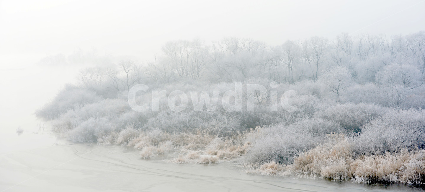 상고대,서리발,겨울,겨울풍경,서리,소양강,눈,나무,겨울,계절,winter,season,자연,풍경,nature,landscape,outdoors,옥외