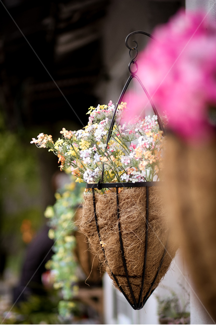 봄,꽃,화분,꽃장식,꽃꽂이,정원,가든,garden,flower,장식,봄꽃,화사함,향긋함,봄,계절,spring,season,식물,자연,plants,nature,꽃,flower,plant