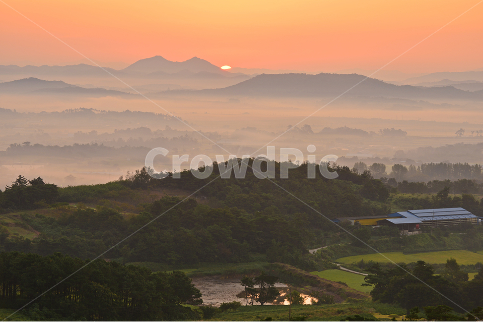outdoors,옥외,landscape,nature,자연,scenery,sky,하늘,dawn,새벽,redsky,붉은하늘,weather,날씨,함평,밀재,밀재일출,아침,운해,여명,해돋이,경치,경관,풍경,농촌,농업,농경,농사,경작,자연,풍경,nature,landscape,한국자연풍경,한국자연경관,korea nature landscape