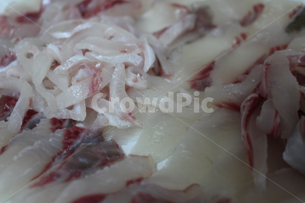 생선,회,일식,촬어회,간식,디저트,요리,고기,숭어,활어,음식,식재료,요리,food,cook,meal,dishes,food reserves
