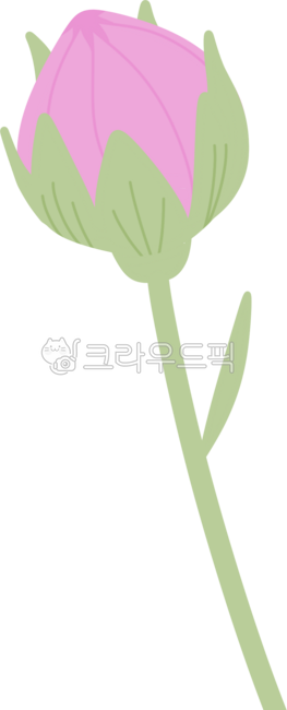 코스모스,꽃,가을,가을꽃,자연,분홍