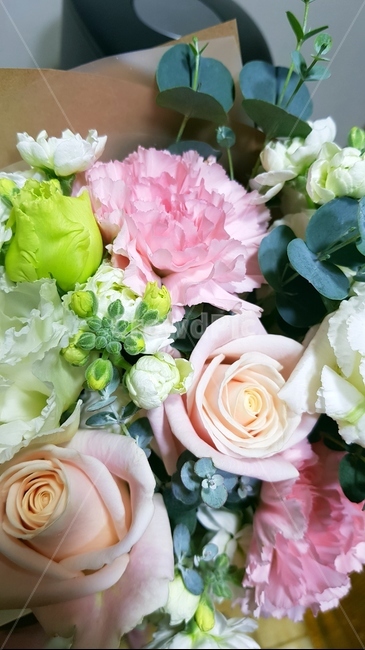 꽃,flower,꽃다발,pink,carnation,bouquet,인디핑크,indipink,pinkrose,분홍장미,rose