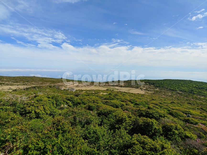 산,하늘,들판,풍경,숲,mountain,sky,clouds,green,초록,등산,한라산,구름