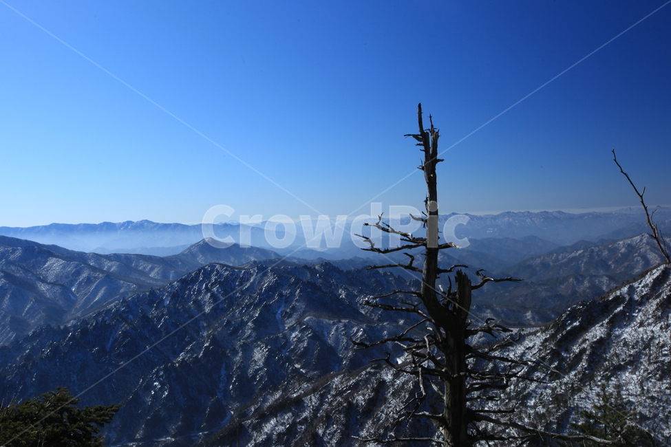 설악산,겨울산행,파란하늘,대청봉,능선,겨울나무,설원,등산,겨울,계절,winter,season,자연,풍경,nature,landscape,mountain range,산맥,outdoors,옥외,mountain,산,peak,피크