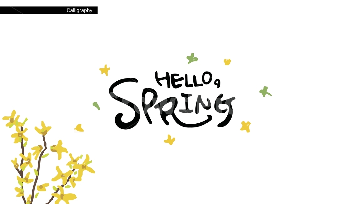 봄,spring,개나리,꽃,노랑,손글씨,캘리그라피,calligraphy,eps,캘리그라피,손글씨,calligraphy
