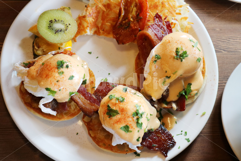 에그베네딕트,eggbenedict,brunch,브런치,hollandaise,홀렌다이즈소스,delicious,vivid,맛있는,점심,아침,식사,서양식,수란,계란요리,달걀요리,porkbelly,포크벨리에그베네딕트,음식,식재료,요리,food,cook,meal,dishes,food reserves,아침식사,조식,브런치,breakfast,brunch