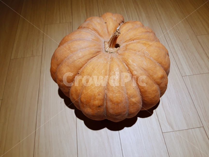호박,늙은호박,수확,식재료,채소,음식,식품,야채,pumpkin,food,cook,meal,음식,식재료,요리,food,cook,meal,dishes,food reserves,채소,야채,vegetables