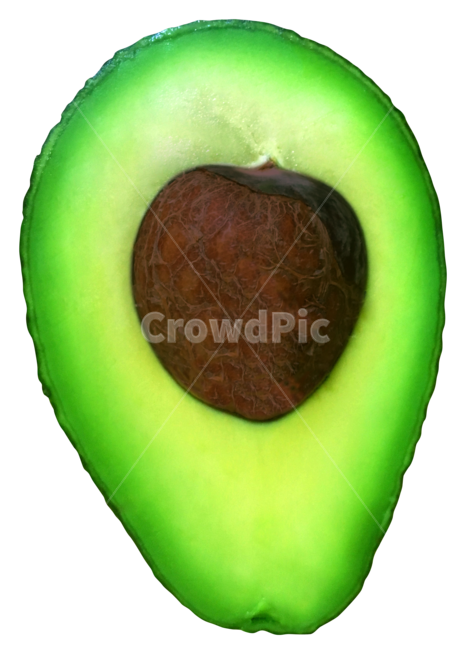 식물,과일,아보카도,avocado,부드러운아보카도,누끼,remove background