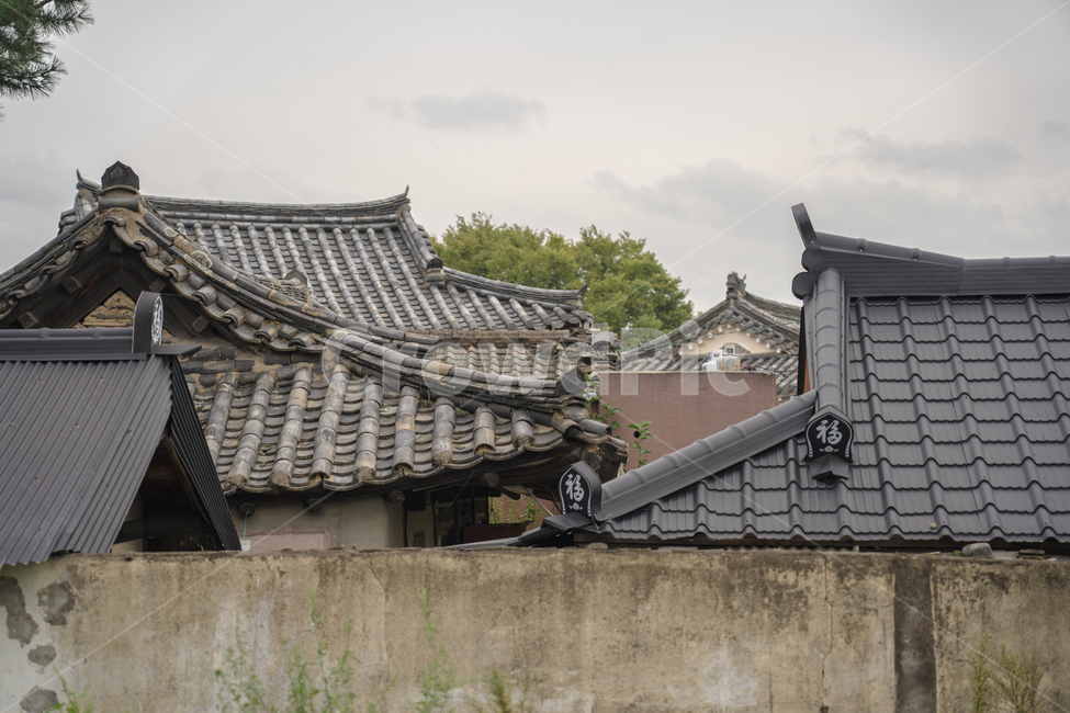 roof,지붕,tileroof,기와지붕,gloomy,전통적,traditional