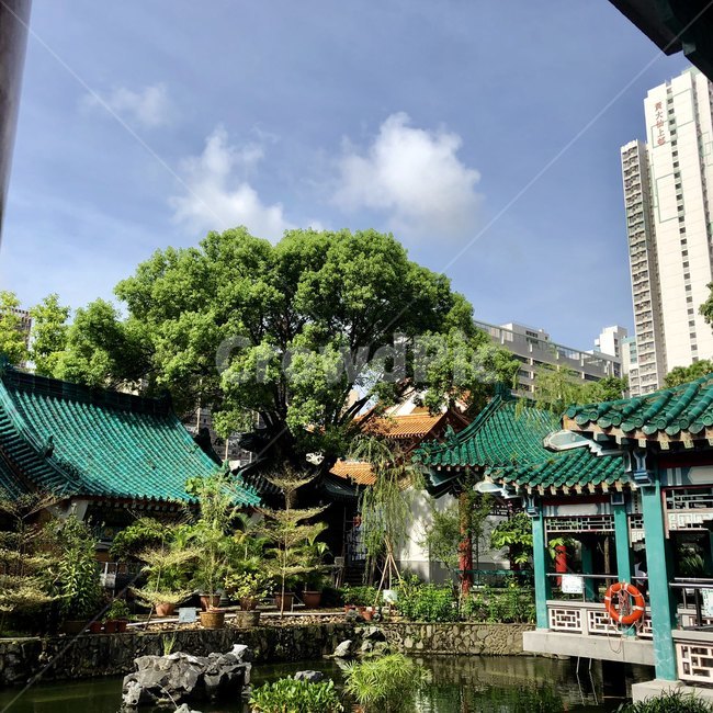 전통가옥,맑은하늘,푸른나무,연못,홍콩,sky,pond,structure,exterior,construction,건축물,해외,외국,기와,세계,여름,구름,조화,building,사원,녹색,wold,건축,전통,hongkong