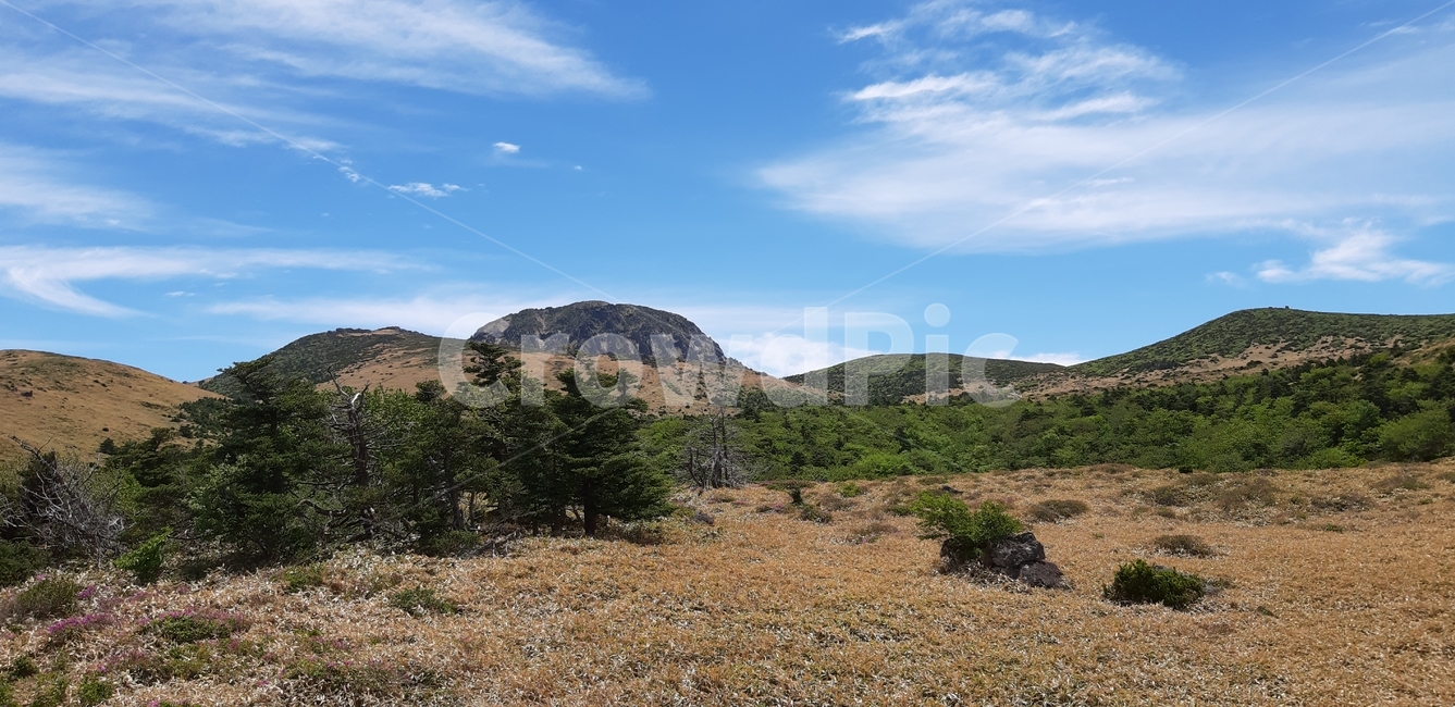 제주도,한라산,어리목코스,남벽,윗세오름